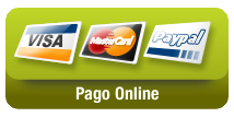 pago online
